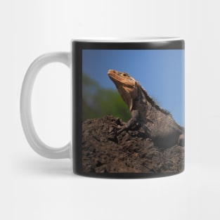 Iguana Mug